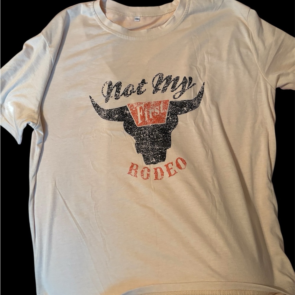 Soft Beige Fabric Blend Top [ not my first rodeo}
2x